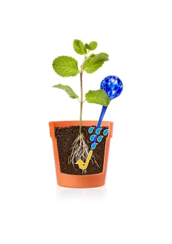 Brand new 😍 Lexi Home Indoor/Outdoor Glass Plant Self-Watering Globes – Multi-Pack Set of 5 Aqua Globes ⭐ -Cheap Waverly® Store Belk 1542