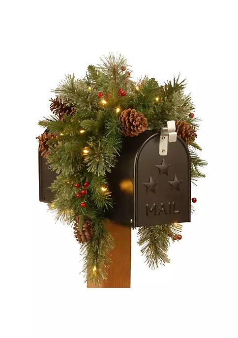 Cheapest โ National Tree 36" Colonial Battery Operated Artificial ๐ Christmas Mailbox Swag - Warm White LED Lights ๐ 1 Cheapest โ National Tree 36" Colonial Battery Operated Artificial ๐ Christmas Mailbox Swag - Warm White LED Lights ๐