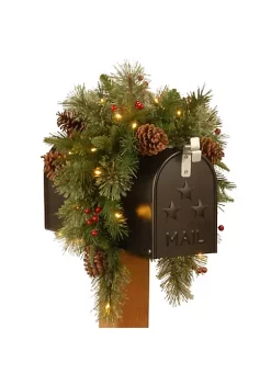 Cheapest โ National Tree 36" Colonial Battery Operated Artificial ๐ Christmas Mailbox Swag - Warm White LED Lights ๐ 5 Cheapest โ National Tree 36" Colonial Battery Operated Artificial ๐ Christmas Mailbox Swag - Warm White LED Lights ๐ -Cheap Waverlyยฎ Store Belk 2037