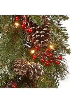 Best reviews of 🎉 National Tree 30" Pre-Lit Bristle Berry Battery Operated Artificial ❄ Christmas Wreath - Warm White LED Lights 🌟 -Cheap Waverly® Store Belk 2083