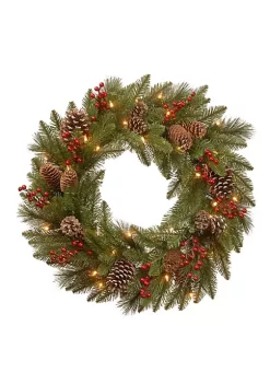 Best reviews of 🎉 National Tree 30" Pre-Lit Bristle Berry Battery Operated Artificial ❄ Christmas Wreath - Warm White LED Lights 🌟 -Cheap Waverly® Store Belk 2084