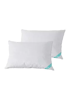 Coupon 🎉 Waverly® Antimicrobial White Goose Nano Feather Pillow (Set of 2) ⭐