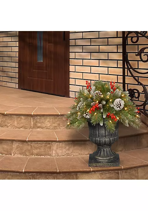 Brand new ๐ National Tree 18" Pre-Lit Frosted Berry Urn Filler ๐ Christmas Garden Stakes - Warm LED Lights ๐ 2 Brand new ๐ National Tree 18" Pre-Lit Frosted Berry Urn Filler ๐ Christmas Garden Stakes - Warm LED Lights ๐ - Image 2