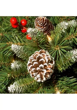 Brand new ๐ National Tree 18" Pre-Lit Frosted Berry Urn Filler ๐ Christmas Garden Stakes - Warm LED Lights ๐ 6 Brand new ๐ National Tree 18" Pre-Lit Frosted Berry Urn Filler ๐ Christmas Garden Stakes - Warm LED Lights ๐ -Cheap Waverlyยฎ Store Belk 2115