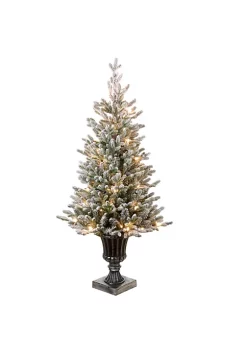 Flash Sale 🎉 National Tree 4' Pre-Lit Slim Iceland Fir Artificial Entrance ❄ Christmas Tree - Clear Lights 🎉