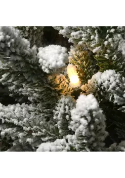 Flash Sale 🎉 National Tree 4' Pre-Lit Slim Iceland Fir Artificial Entrance ❄ Christmas Tree - Clear Lights 🎉 -Cheap Waverly® Store Belk 2119