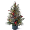 Cheap 👏 National Tree 2' Pre-lit Colonial Potted Mixed Pine Medium Artificial 🎄 Christmas Tree - Warm White LED Lights 🌟