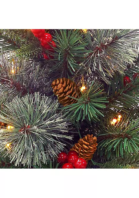 Cheap ๐ National Tree 2' Pre-lit Colonial Potted Mixed Pine Medium Artificial ๐ Christmas Tree - Warm White LED Lights ๐ 2 Cheap ๐ National Tree 2' Pre-lit Colonial Potted Mixed Pine Medium Artificial ๐ Christmas Tree - Warm White LED Lights ๐ - Image 2