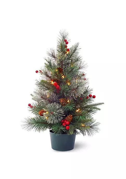 Cheap ๐ National Tree 2' Pre-lit Colonial Potted Mixed Pine Medium Artificial ๐ Christmas Tree - Warm White LED Lights ๐ 3 Cheap ๐ National Tree 2' Pre-lit Colonial Potted Mixed Pine Medium Artificial ๐ Christmas Tree - Warm White LED Lights ๐ - Image 3