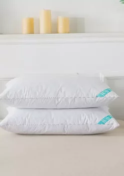 Coupon 🎉 Waverly® Antimicrobial White Goose Nano Feather Pillow (Set of 2) ⭐ -Cheap Waverly® Store Belk 213