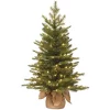 Best Sale ✨ National Tree 3' Pre-Lit Potted Nordic Spruce Medium Artificial 🎅 Christmas Tree - Clear Lights ⌛