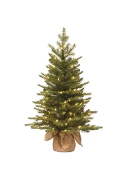 Best Sale ✨ National Tree 3' Pre-Lit Potted Nordic Spruce Medium Artificial 🎅 Christmas Tree - Clear Lights ⌛