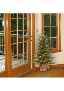 Best Sale ✨ National Tree 3' Pre-Lit Potted Nordic Spruce Medium Artificial 🎅 Christmas Tree - Clear Lights ⌛ -Cheap Waverly® Store Belk 2141