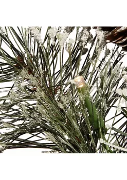 Outlet 💯 National Tree 36" Glittery Bristle Pine Battery Operated Artificial 🔔 Christmas Mailbox Swag - Warm White LED Lights ✨ 6 Outlet 💯 National Tree 36" Glittery Bristle Pine Battery Operated Artificial 🔔 Christmas Mailbox Swag - Warm White LED Lights ✨ -Cheap Waverly® Store Belk 2157