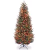Buy ❤️ National Tree 6.5’ Pre-Lit Natural Fraser Slim Fir Artificial ❄ Christmas Tree - Multi-Color Lights 😉