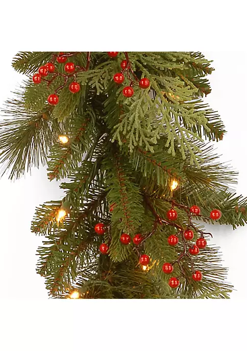Best deal ๐ National Tree 9' x 12" Pre-Lit Cedar Leaves and Berries Artificial โ Christmas Garland - Clear Lights ๐ 3 Best deal ๐ National Tree 9' x 12" Pre-Lit Cedar Leaves and Berries Artificial โ Christmas Garland - Clear Lights ๐ - Image 3