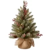 Wholesale 🔔 National Tree 2' Pre-Lit Dunhill Fir Artificial 🔔 Christmas Tree - Warm White LED Lights 😍