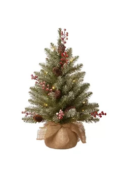 Wholesale 🔔 National Tree 2' Pre-Lit Dunhill Fir Artificial 🔔 Christmas Tree - Warm White LED Lights 😍