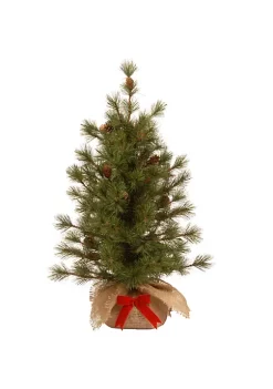 Best deal 🤩 National Tree 3' Slim Bristle Cone Pine Burlap Base Artificial 🔔 Christmas Tree - Unlit 🎉