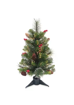 Discount 👍 National Tree 24" Pre-Lit Crestwood Spruce Battery Operated Medium Artificial 🎅 Christmas Tree – Warm White LED Lights 🔥