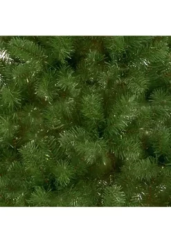 Promo 💯 National Tree 7.5' Slim Canadian Grande Fir Artificial 🎄 Christmas Tree - Unlit 👍 -Cheap Waverly® Store Belk 2223