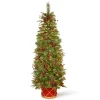 Best deal 🤩 National Tree 6' Pre-Lit Pencil Colonial Pine Artificial Half Wall 🔔 Christmas Tree - Clear Lights 😉