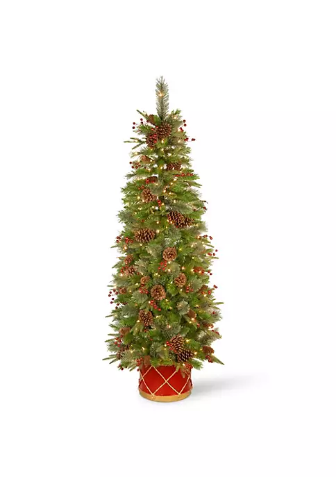 Best deal ๐คฉ National Tree 6' Pre-Lit Pencil Colonial Pine Artificial Half Wall ๐ Christmas Tree - Clear Lights ๐ 1 Best deal ๐คฉ National Tree 6' Pre-Lit Pencil Colonial Pine Artificial Half Wall ๐ Christmas Tree - Clear Lights ๐