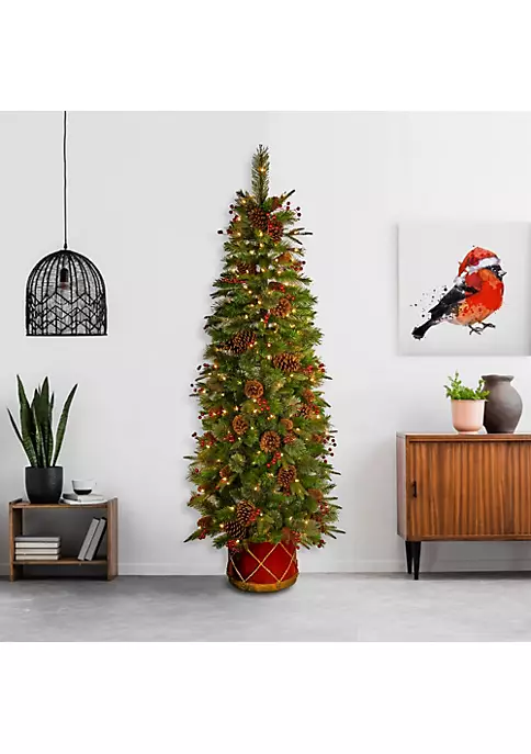 Best deal ๐คฉ National Tree 6' Pre-Lit Pencil Colonial Pine Artificial Half Wall ๐ Christmas Tree - Clear Lights ๐ 2 Best deal ๐คฉ National Tree 6' Pre-Lit Pencil Colonial Pine Artificial Half Wall ๐ Christmas Tree - Clear Lights ๐ - Image 2