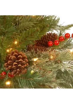 Best deal ๐คฉ National Tree 6' Pre-Lit Pencil Colonial Pine Artificial Half Wall ๐ Christmas Tree - Clear Lights ๐ 6 Best deal ๐คฉ National Tree 6' Pre-Lit Pencil Colonial Pine Artificial Half Wall ๐ Christmas Tree - Clear Lights ๐ -Cheap Waverlyยฎ Store Belk 2235