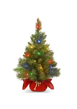 Discount 🧨 National Tree 24" Pre-Lit Full Majestic Fir Artificial 🎄 Christmas Tree – Multicolor LED Lights 🌟