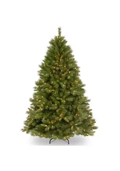 Discount ⌛ National Tree 6' Pre-Lit Green Full Winchester Pine Artificial 🎅 Christmas Tree - Clear Lights 🌟 -Cheap Waverly® Store Belk 2261