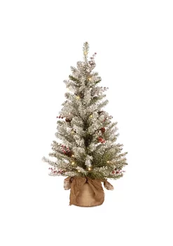 Best reviews of 🔔 National Tree 3' Pre-Lit Dunhill Fir Artificial 🎄 Christmas Tree - Warm White LED Lights ❤️