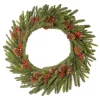 Deals 😀 National Tree 24" Pre-Lit Dorchester Fir Battery Operated Artificial 🎄 Christmas Wreath - Warm White Lights ✔️
