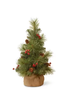 Flash Sale 👏 National Tree 18" Medium Miniature Pine Burlap Base Artificial 🎄 Christmas Tree - Unlit 🔔