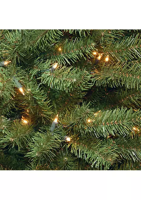 Flash Sale ✨ National Tree 6’ Pre-Lit Medium North Valley Spruce Artificial ❄ Christmas Tree - Clear Lights 🥰 2 Flash Sale ✨ National Tree 6’ Pre-Lit Medium North Valley Spruce Artificial ❄ Christmas Tree - Clear Lights 🥰 - Image 2