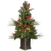 Cheap 🎉 National Tree 4' Pre-Lit Magnolia Artificial 🔔 Christmas Tree - Clear Lights ⌛