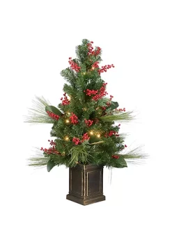 Cheap 🎉 National Tree 4' Pre-Lit Magnolia Artificial 🔔 Christmas Tree - Clear Lights ⌛
