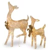Discount 🧨 National Tree Set of 2 LED Lighted Champagne Gold Fawn with Doe Outdoor 🎁 Christmas Decoration 38" ✨