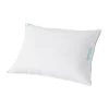 Outlet 🌟 Waverly® Antimicrobial 233 Thread Count Cotton White Duck Down Pillow 🌟