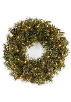 Brand new ๐ฅฐ National Tree Pre-Lit Wispy Willow Artificial ๐ Christmas Wreath - 24-Inch Clear Lights ๐งจ