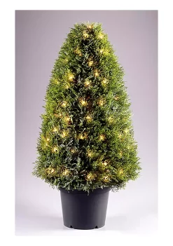 Cheap 🔥 National Tree 42" Pre-Lit Artificial Potted Upright Juniper Tree - 100 Clear Lights 😀 -Cheap Waverly® Store Belk 2488