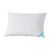 Budget 🎁 Waverly® 300 Thread Count Cotton White Duck Down Pillow 😉