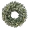 New ✨ National Tree 24" Pre-Lit LED Snowy Stonington Fir Artificial 🎄 Christmas Wreath - Warm White Lights ✨