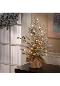 Budget ✔️ National Tree 2.5' Pre-Lit Medium Snowy Cambridge Artificial 🎄 Christmas Tree - Warm White LED Lights 🧨 -Cheap Waverly® Store Belk 2532