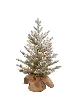 Budget ✔️ National Tree 2.5' Pre-Lit Medium Snowy Cambridge Artificial 🎄 Christmas Tree - Warm White LED Lights 🧨 -Cheap Waverly® Store Belk 2533