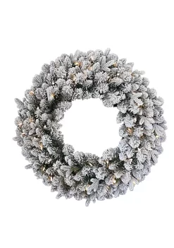Cheapest ⭐ National Tree 24" Pre-Lit LED Snowy Iceland Fir Artificial 🎁 Christmas Wreath - Warm White Lights 🤩