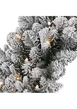 Cheapest ⭐ National Tree 24" Pre-Lit LED Snowy Iceland Fir Artificial 🎁 Christmas Wreath - Warm White Lights 🤩 -Cheap Waverly® Store Belk 2540