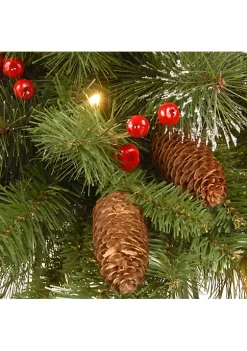 Best deal ✨ National Tree 16" Pre-Lit Green Crestwood Spruce Hanging 🎄 Christmas Decor with White LED Lights 👍 -Cheap Waverly® Store Belk 2552