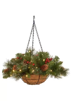 Best deal ✨ National Tree 16" Pre-Lit Green Crestwood Spruce Hanging 🎄 Christmas Decor with White LED Lights 👍 -Cheap Waverly® Store Belk 2553
