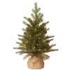 Outlet ✔️ National Tree 2' Pre-Lit Potted Nordic Spruce Full Artificial 🎄 Christmas Tree – Clear Lights 👍